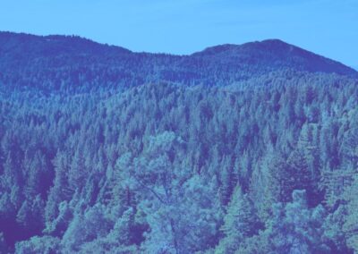 Annual update to Emissions Trading Scheme settings