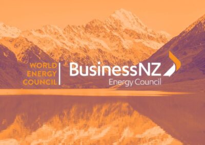 BEC Submission on the amendments to the NPS-REG, NPS-EN and the NES-ENA