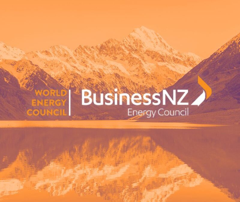 BEC Submission on the amendments to the NPS-REG, NPS-EN and the NES-ENA